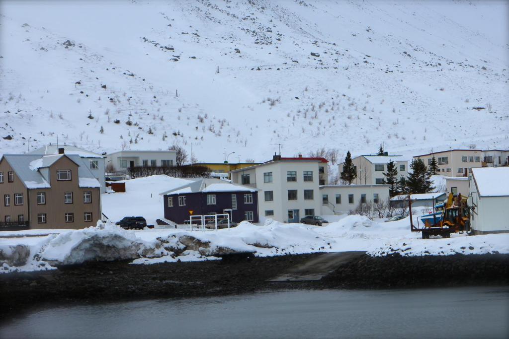 Comfy Guesthouse Westfjords Sudureyri Exteriör bild